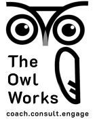 Logo-The Owl Works